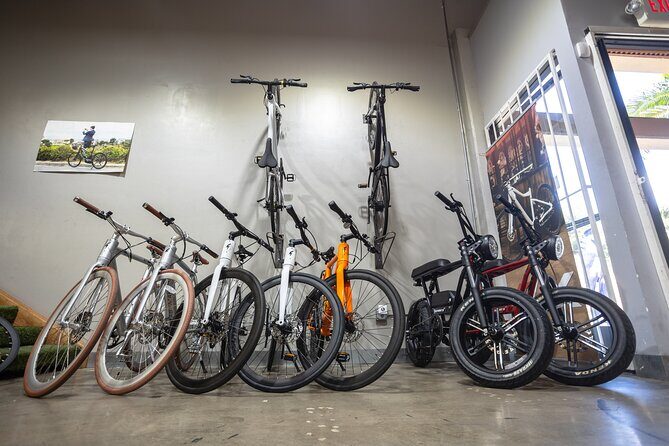 San Diego ebike Rentals - Experience California's Finest Scenery - Who Will Love This Experience?
