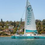 San Diego Harbor Cruise: 2.5 hour Catamaran Cruise - A Closer Look at the San Diego Harbor Catamaran Cruise