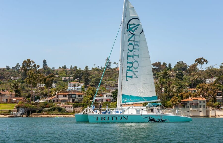 San Diego Harbor Cruise: 2.5 hour Catamaran Cruise - A Closer Look at the San Diego Harbor Catamaran Cruise  