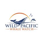 San Diego: Luxury Year-round Whale Watching & Dolphin Tour - Good To Know