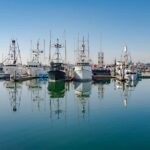 San Diego USS Midway with Waterfront Walking Tour - Authentic Experiences from Past Tour Participants