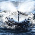 San Diego Whale/Dolphin Watching Cruise Aboard Luxury Vessel - Itinerary Breakdown: What to Expect