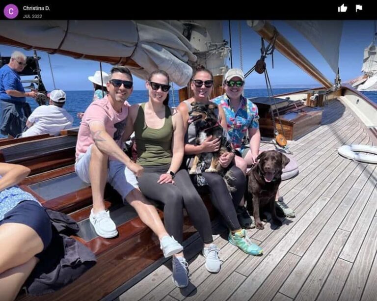 San Diego: Whale Watching Cruise on the Yacht America - The Value of This Whale Watching Experience