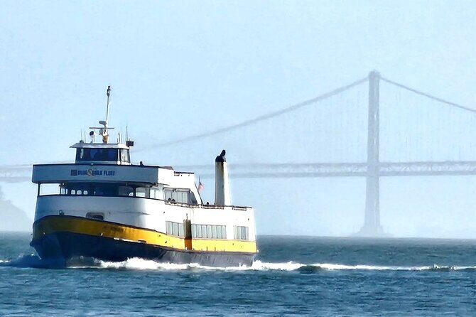 San Francisco Bay Cruise and City Combo Tour - Authentic Experiences and Practical Tips