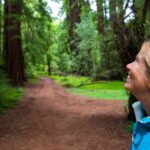 San Francisco: Muir Woods and Sausalito Tour with Admission - What’s Included and What’s Not