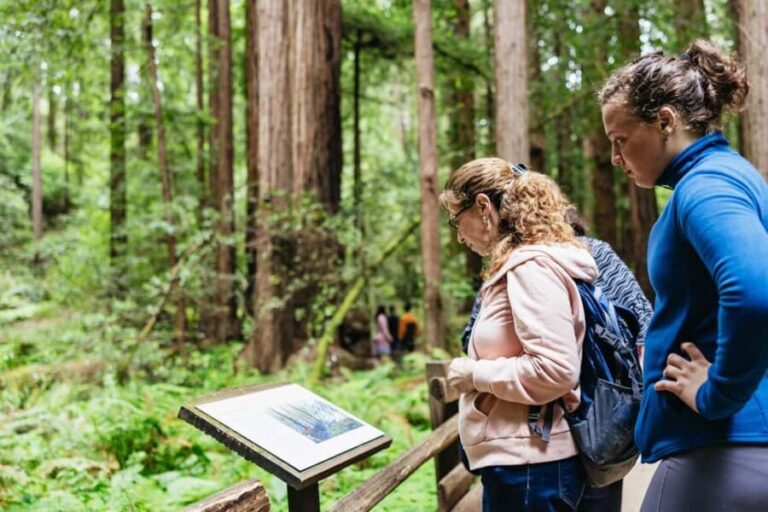 San Francisco: Muir Woods & Sausalito Tour with Ferry Option - Breaking Down the Itinerary