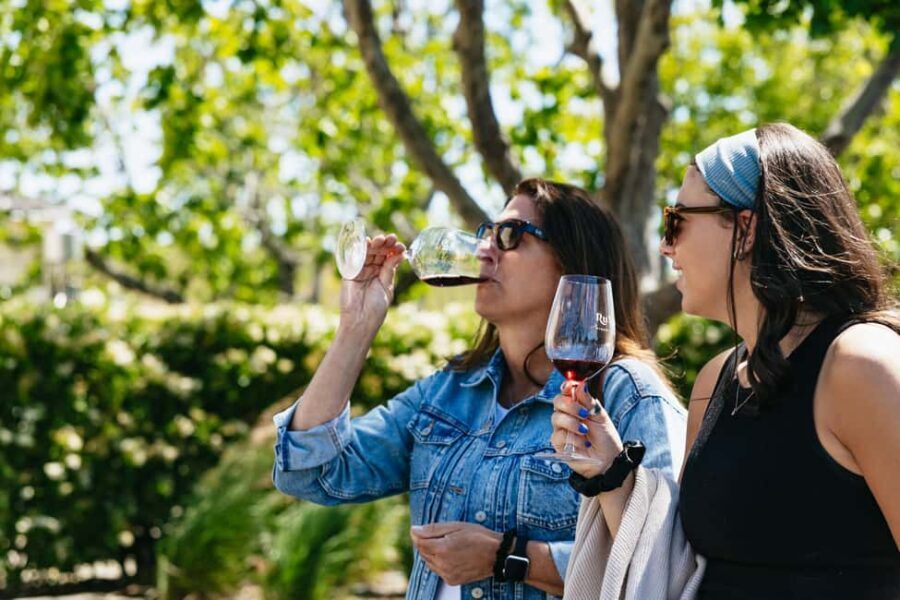San Francisco: Napa and Sonoma Valley Wine Tour - Why This Tour Offers Great Value