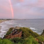 San Francisco Private Car Tour - Analyzing the Value