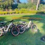 San Francisco: Summer of Love Guided eBike Tour - What the Tour Includes & Practical Details
