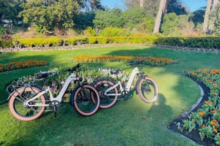 San Francisco: Summer of Love Guided eBike Tour - What the Tour Includes & Practical Details
