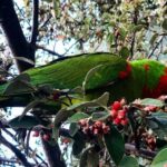 San Francisco Telegraph Hill & The Old Waterfront Tour - An In-Depth Look at the Tour Experience