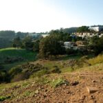 San Francisco's Glen Park and Glen Canyon: A Self-Guided Tour - Discovering Glen Park and Glen Canyon