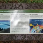 San Fransico: Muir Woods & Marin Headlands Private Tour - Practical Considerations and Value