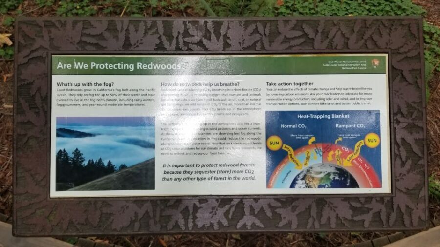 San Fransico: Muir Woods & Marin Headlands Private Tour - Practical Considerations and Value