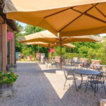 "San Gimignano" Wine Tasting - Palagetto winery - The Sum Up