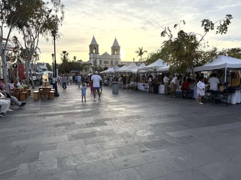San José del Cabo: Thursday Night Art Walk Tour - What You Can Expect at Each Stop