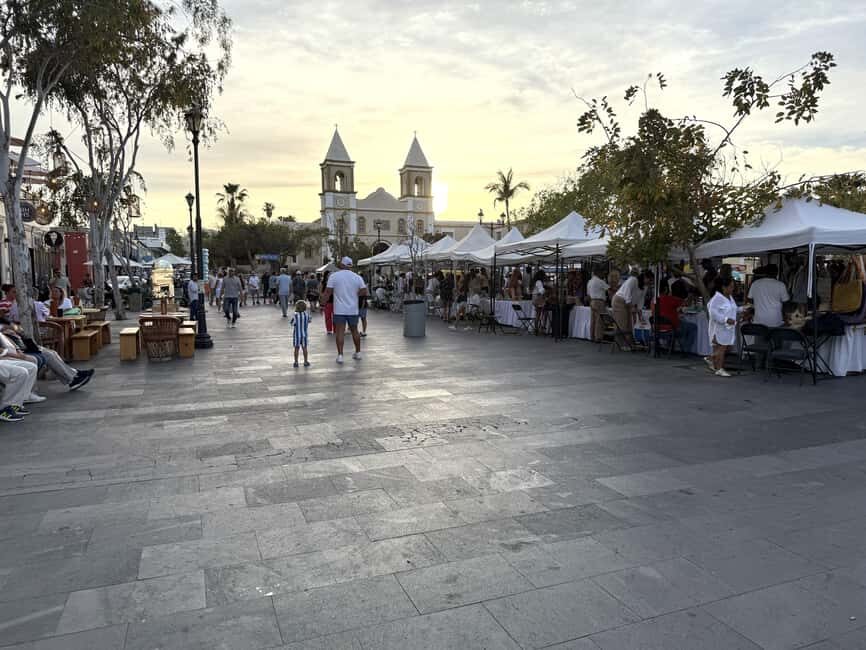 San José del Cabo: Thursday Night Art Walk Tour - What You Can Expect at Each Stop