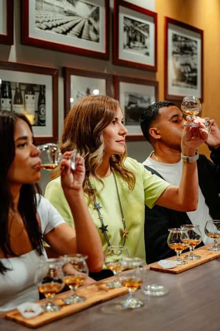San Juan: Casa Bacardi Distillery Tour - The Highlights of the Tour