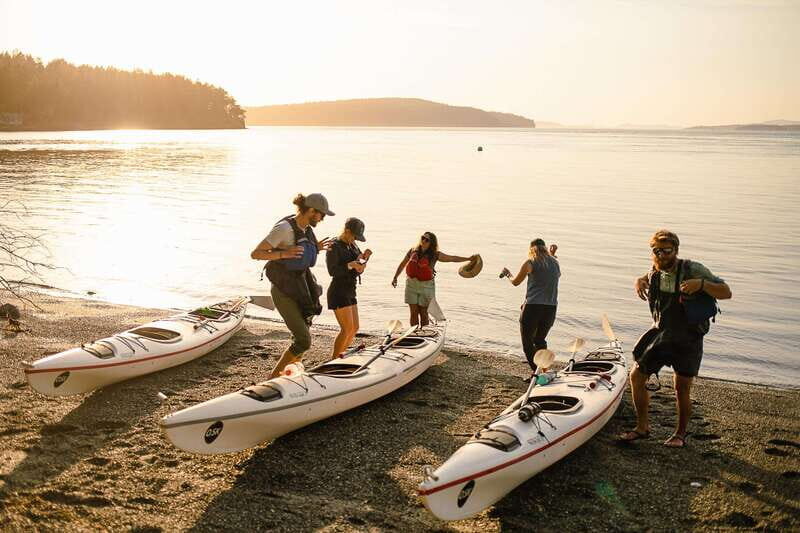 San Juan Island: Full Day Kayaking Tour with Lunch - Why This Tour Offers Great Value