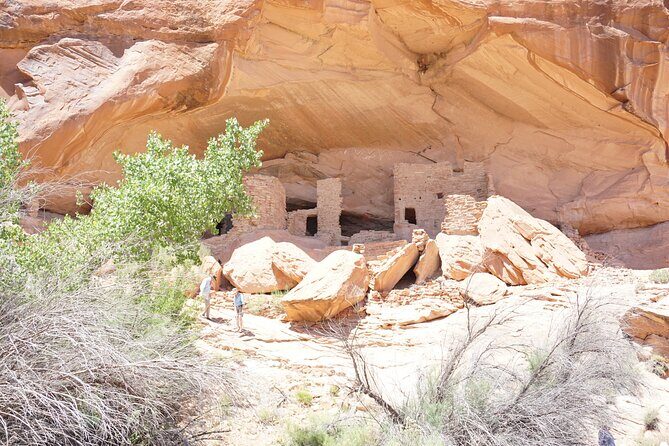 San Juan River and Hummer Cliff Dwelling Expedition - Who Will Love This Tour?