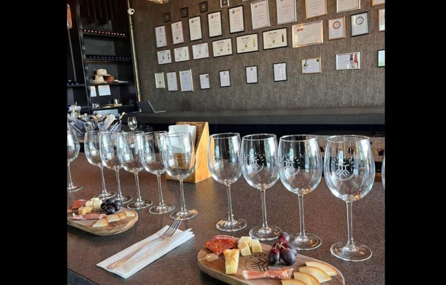 San Miguel Allende: Guanajuato Wine Route vineyard tour - What Sets This Tour Apart