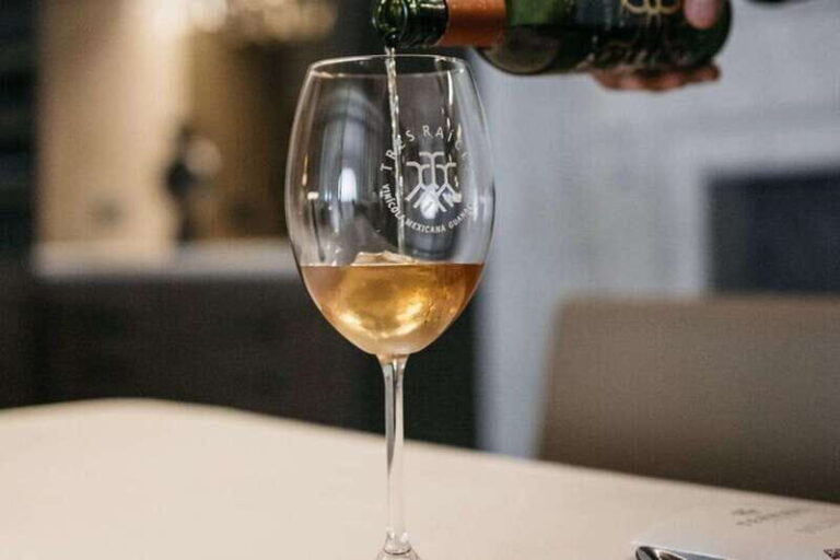 San Miguel de Allende: 7-Course Luxury Menu & Wine Pairing - Unpacking the 7-Course Menu & Wine Pairings