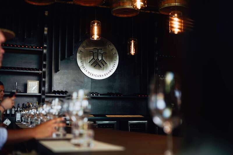 San Miguel de Allende: Independence Valley Wine Route - What You Can Expect from Your Day