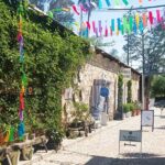 San Miguel de Allende with a Private Driver - Dining and Local Tips