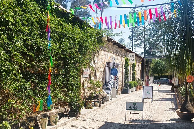 San Miguel de Allende with a Private Driver - Dining and Local Tips