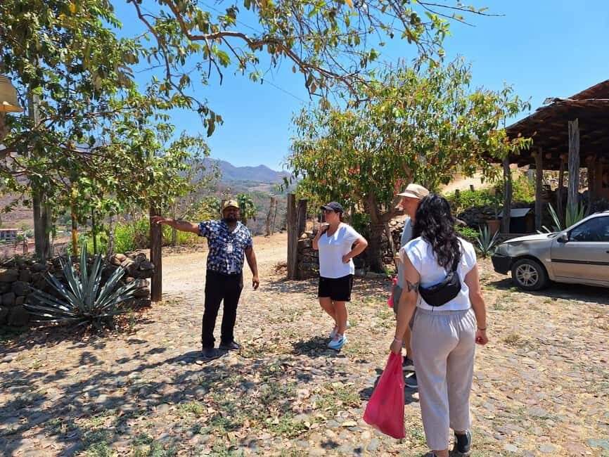 San Sebastian del Oeste: Tequila Tasting and Coffee Tour - Why This Tour Offers Great Value