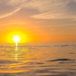 Sandbar, Beach, Dolphin Watching Cruise Sarasota, Florida - The Guides and Crew