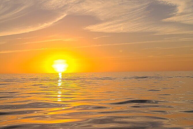 Sandbar, Beach, Dolphin Watching Cruise Sarasota, Florida - The Guides and Crew
