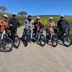 Santa Barbara: E-bike wine tour w/ transport, tasting, lunch - What Makes This Tour Stand Out?