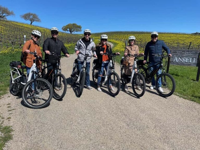 Santa Barbara: E-bike wine tour w/ transport, tasting, lunch - What Makes This Tour Stand Out?