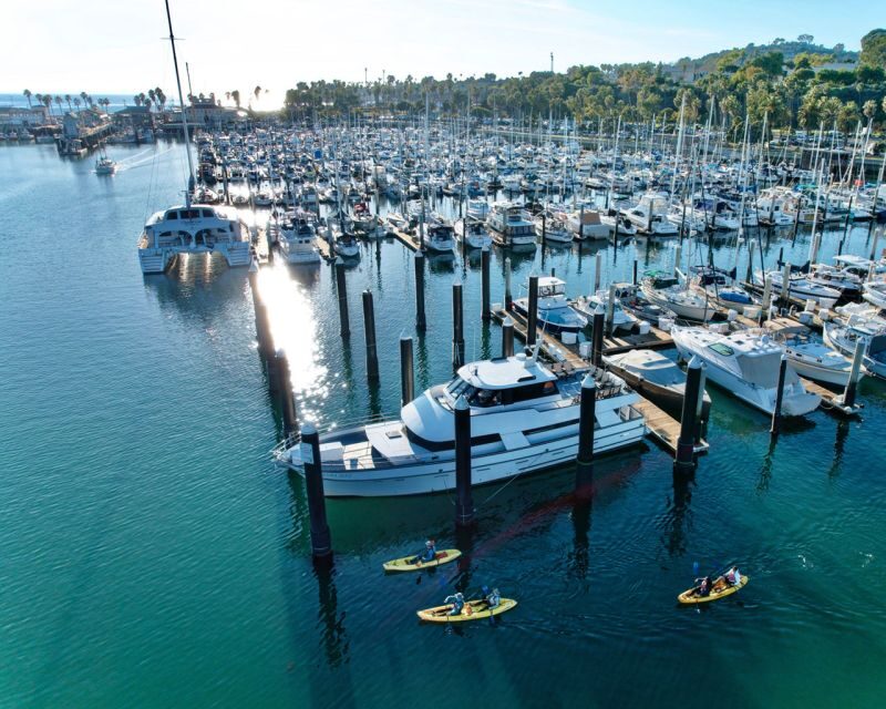 Santa Barbara Harbor: Wildlife Kayak Tour (2 Hours) - Who Should Consider This Tour?