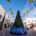 Santa Monica Holiday Donut Adventure and Walking Food Tour - Practical Details