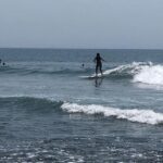 Santa Monica: Surfing Day Trip with Lunch - What It Means for You