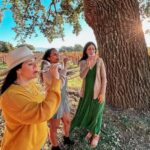 Santa Ynez: Private Wine Tour - What to Expect: A Day of Wine and Scenery