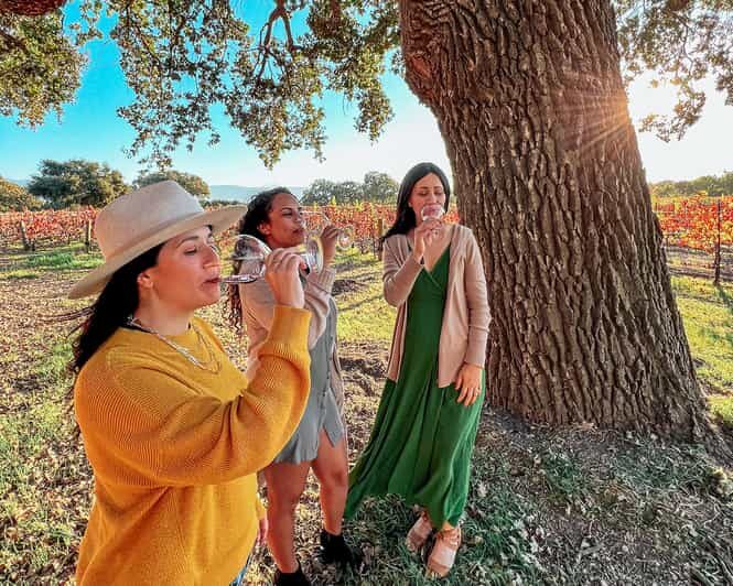 Santa Ynez: Private Wine Tour - What to Expect: A Day of Wine and Scenery