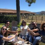 Santa Ynez Valley Private Wine Tours from Santa Barbara - The Itinerary: What to Expect