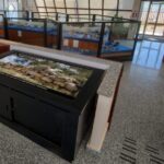 Santadi (SU): visit to the Archaeological and Ethnographic Museum - Final Thoughts