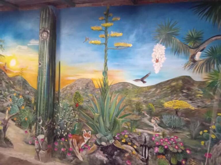 Santiago de Anaya, Hidalgo: Food tour. Experience among stoves. - Who Will Love This Tour?