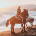 Santorini: Extreme Horse Safari - The Horses & Guides: Caring, Capable, and Courteous