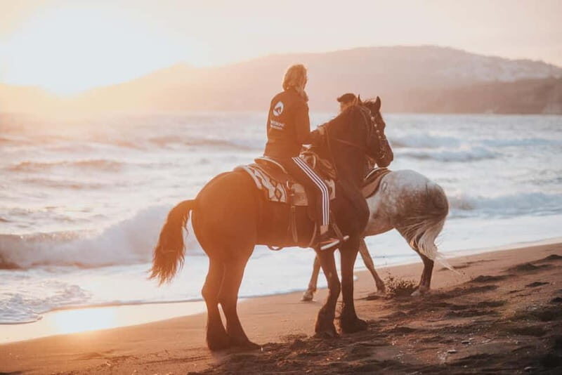 Santorini: Extreme Horse Safari - The Horses & Guides: Caring, Capable, and Courteous