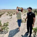 Santorini: Farm to Table Food Tour Experience - The Practicalities: What to Know Before You Go