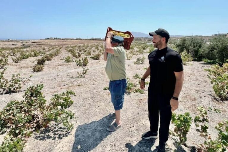 Santorini: Farm to Table Food Tour Experience - The Practicalities: What to Know Before You Go