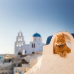 Santorini: Instagram Highlights Tour - Who Will Love This Tour?