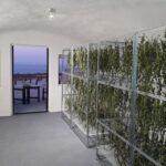 Santorini: Private Agri-Educational Visit to an Organic Farm - The Highlights of the Farm Tour