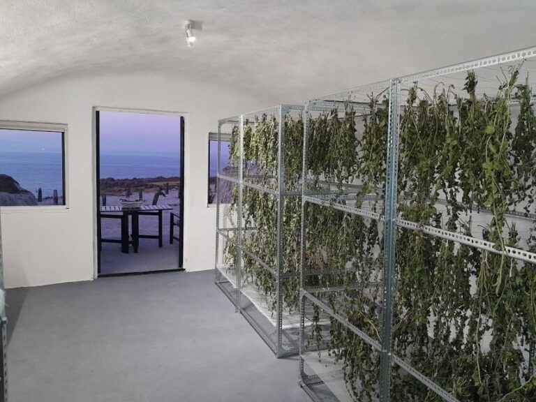 Santorini: Private Agri-Educational Visit to an Organic Farm - The Highlights of the Farm Tour