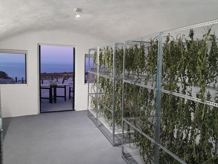 Santorini: Private Agri-Educational Visit to an Organic Farm - The Highlights of the Farm Tour